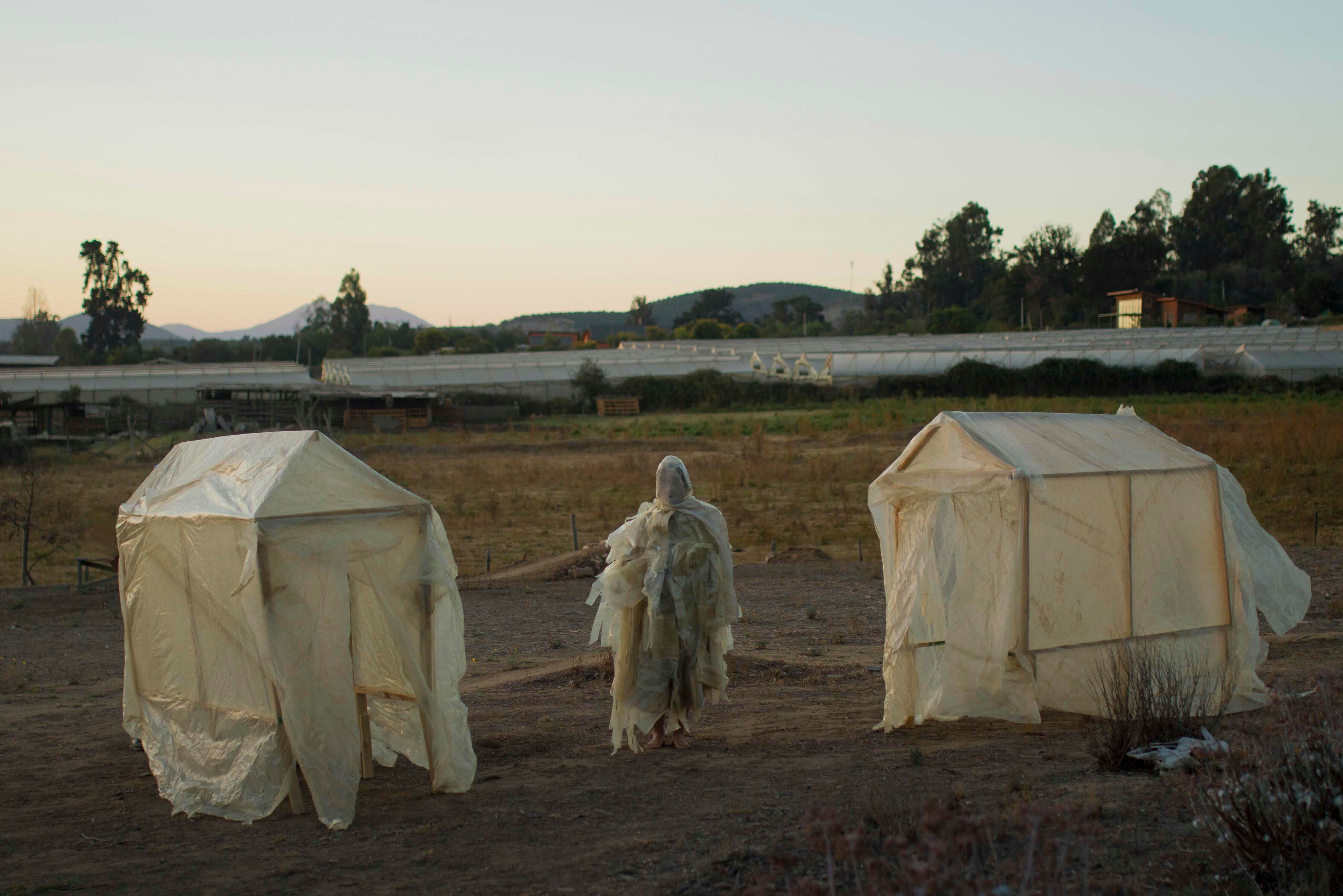 2025 Food Action Awards | CLIMAVORE