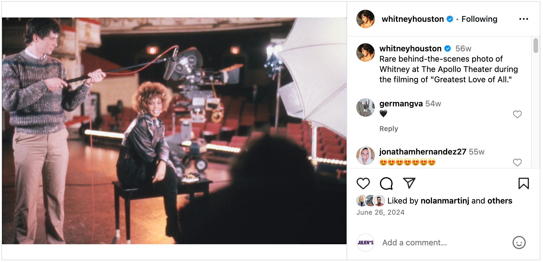 Sac à Main Officiel Whitney Houston - Synthétique Noir Avec Logo Signature Et Chat - Neuf Avec étiquettes