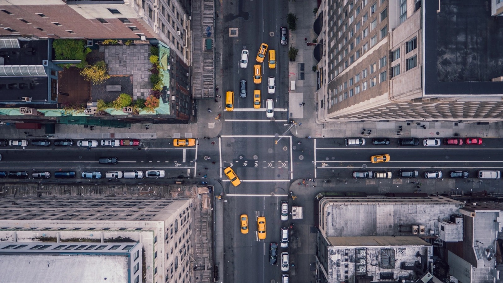 How to Set Up and Test a Binary Trade
