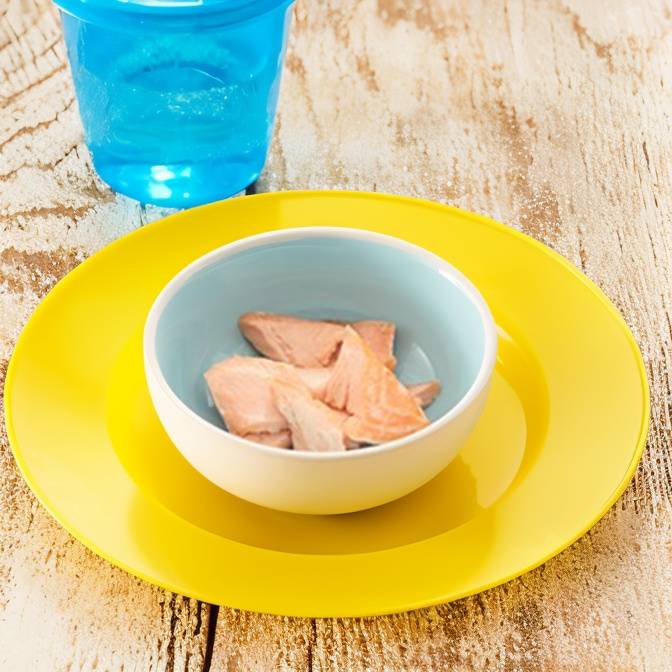 Salmón al horno sencillo