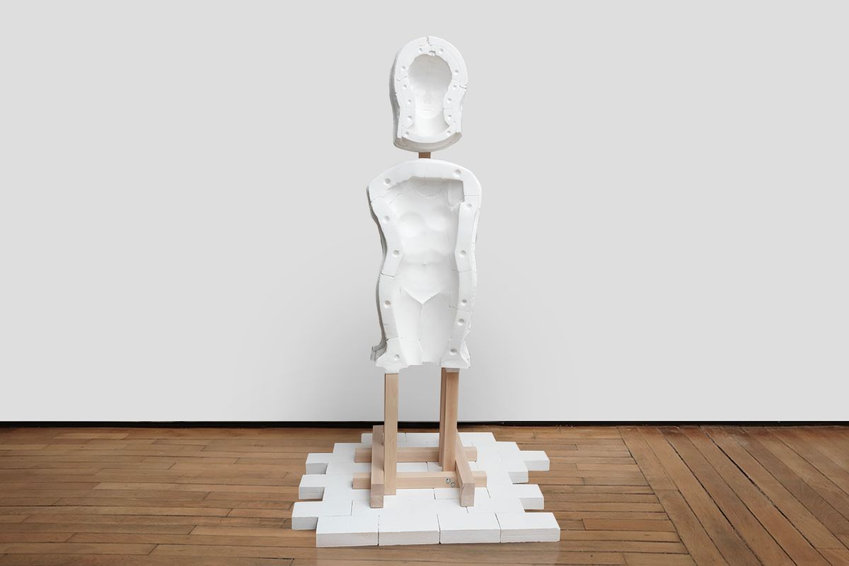 Vénus hybride #4 - 2024