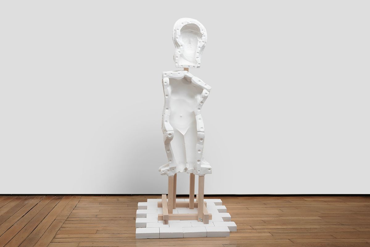 Vénus hybride #2 - 2024