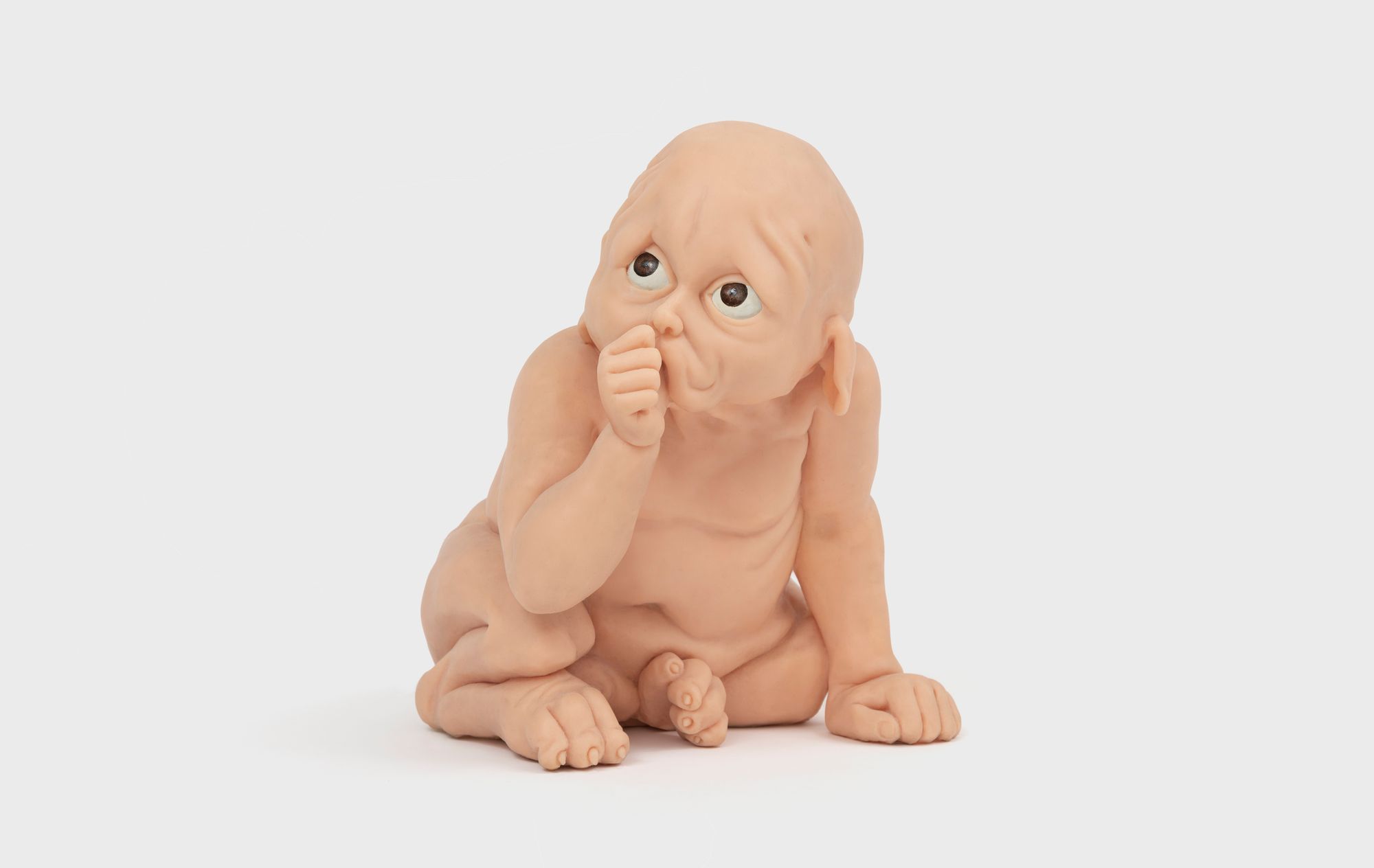 Les B b s Domestiques S rie Attila 2006 PRUNE NOURRY les-b-b-s-domestiques-s-rie-attila-2006-prune-nourry