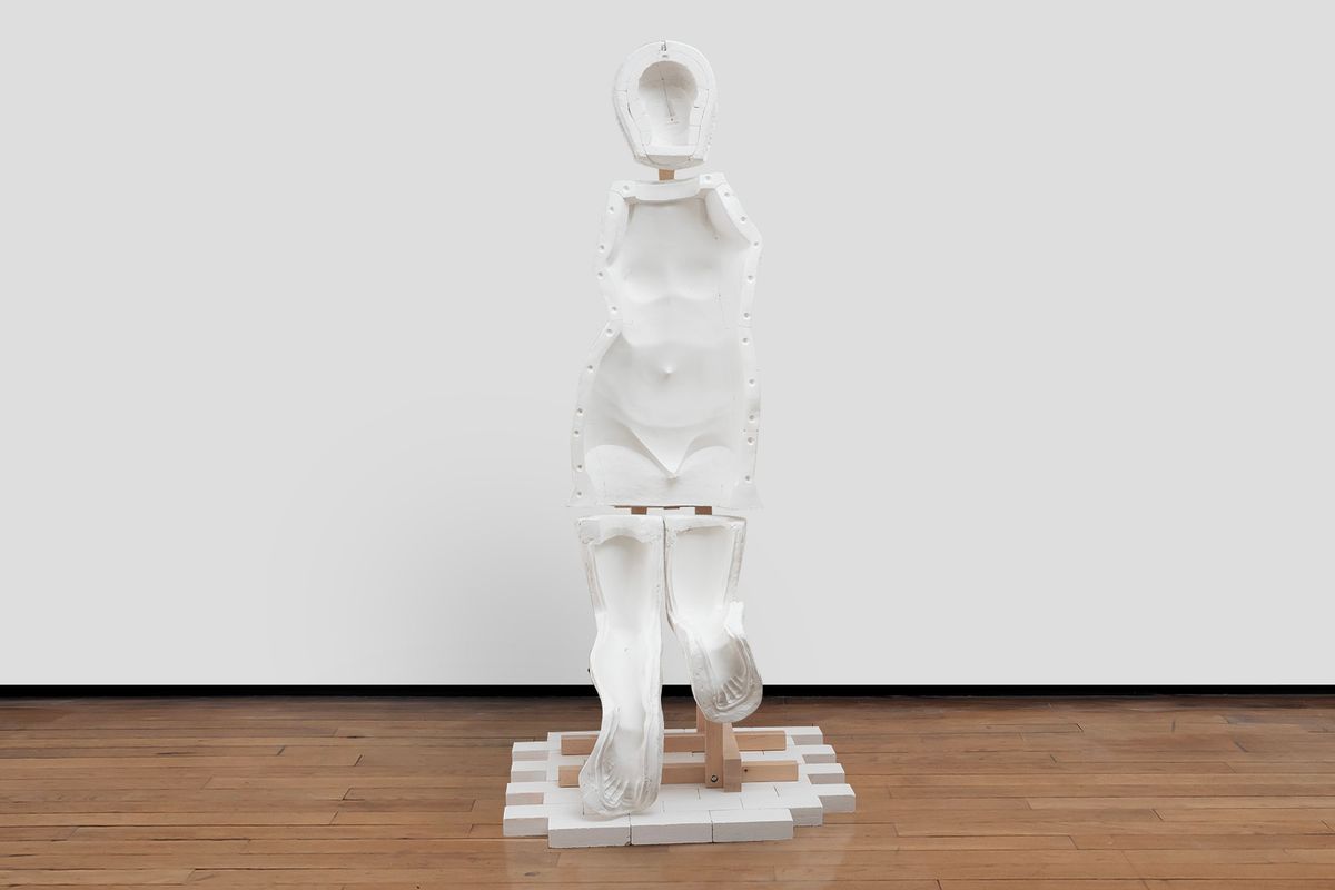 Vénus hybride #5 - 2024