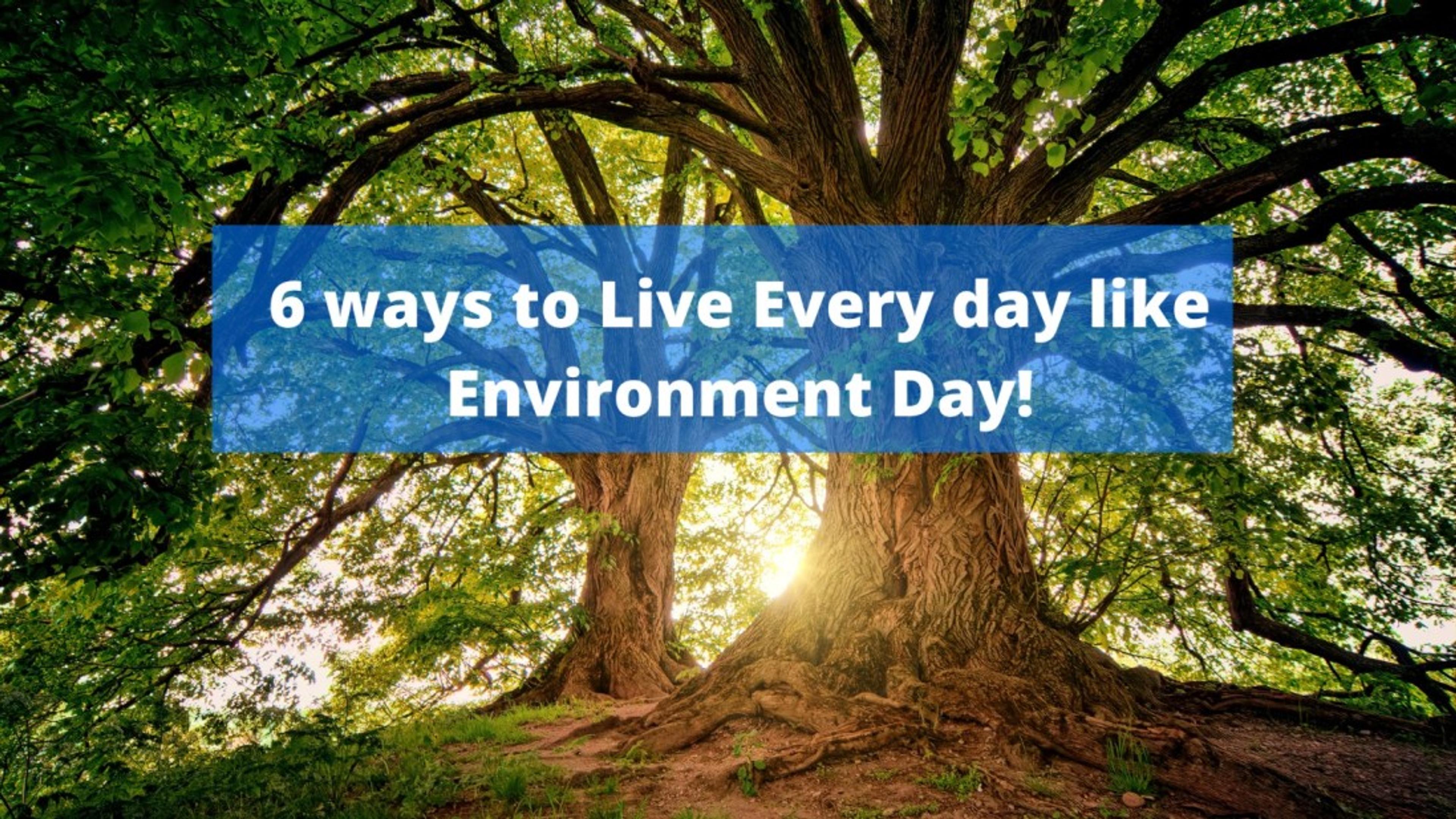 Celebrate environment day