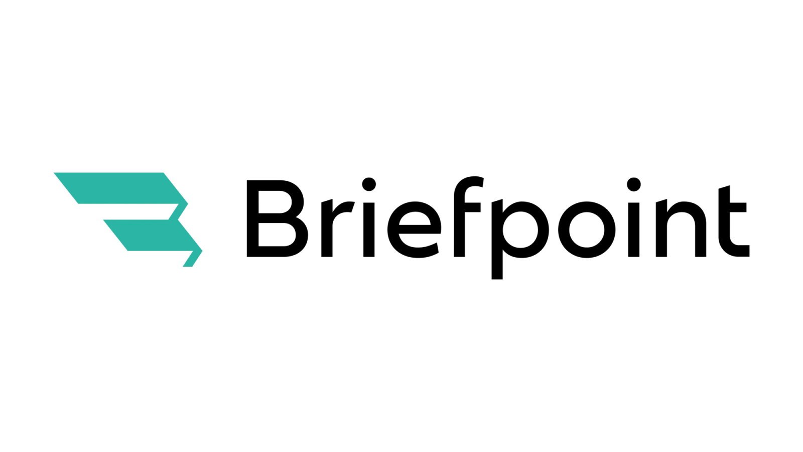 Briefpoint Product Review