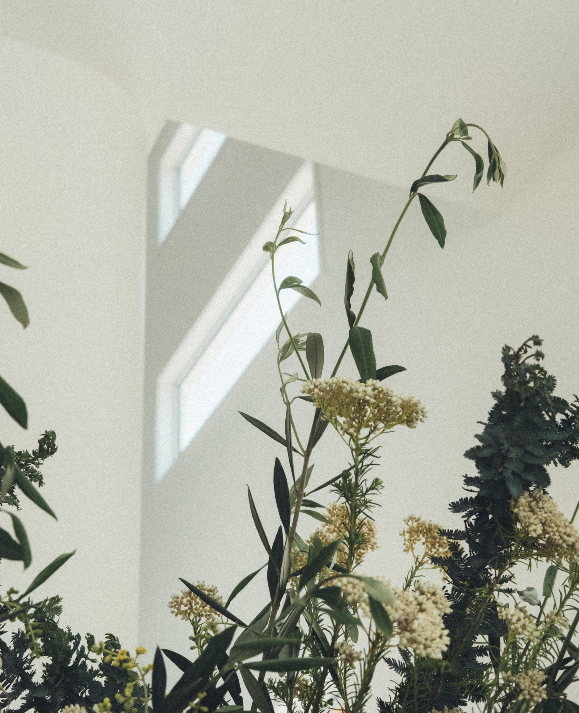 Bespoke kitchen in Pilgrim Homes custom designed home for Ara Street family in Camp Hill