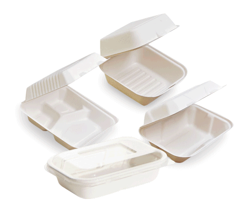 Bagasse & Sugarcane Packaging Explained: Why It’s Becoming Australia’s #1 Choice for Sustainable Food Service