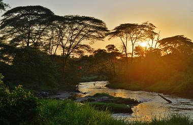 Sun setting behind trees and river