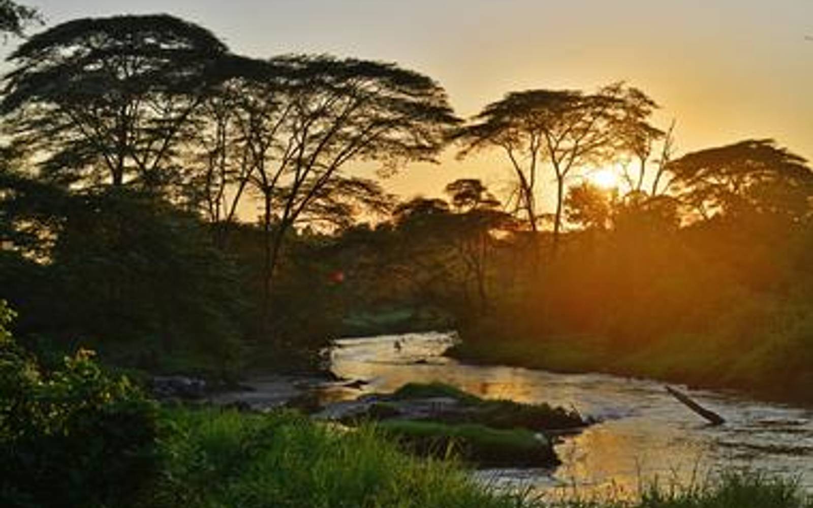 Sun setting behind trees and river