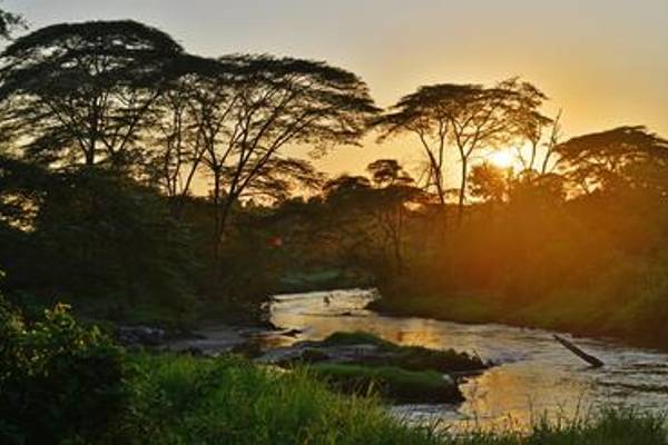 Ishasha sector with river and trees at sunset