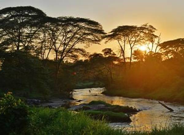 Sun setting behind trees and river