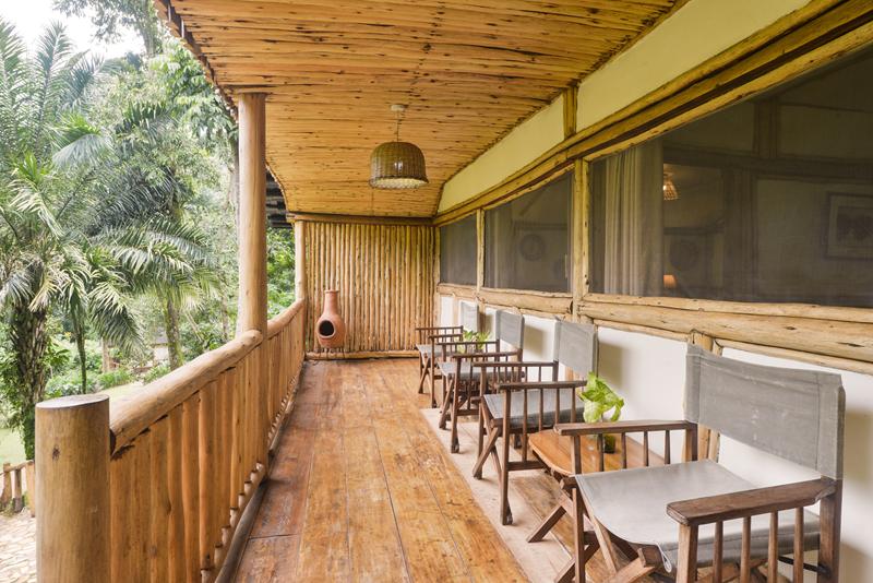 Wooden veranda with deck chairs overlooking lush forest