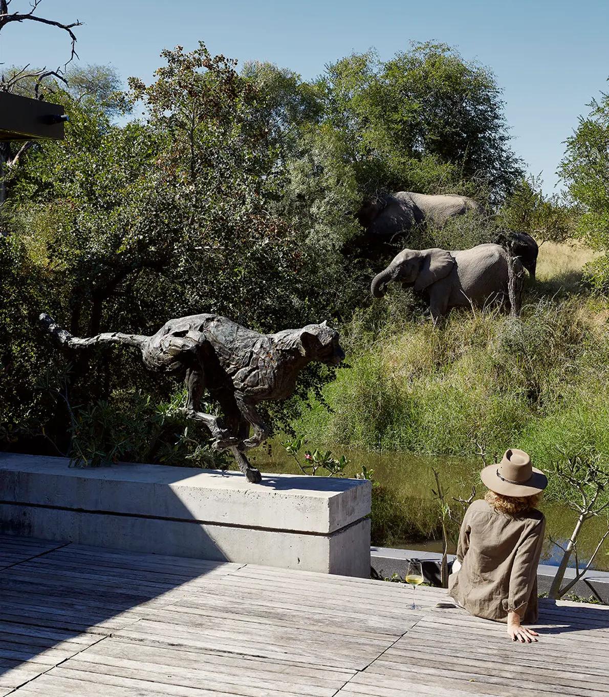 Person sitting on timber viewing platform watching elephants roam