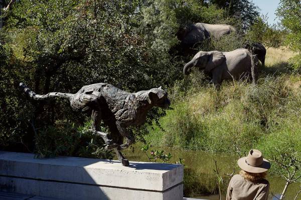 Person sitting on timber viewing platform watching elephants roam