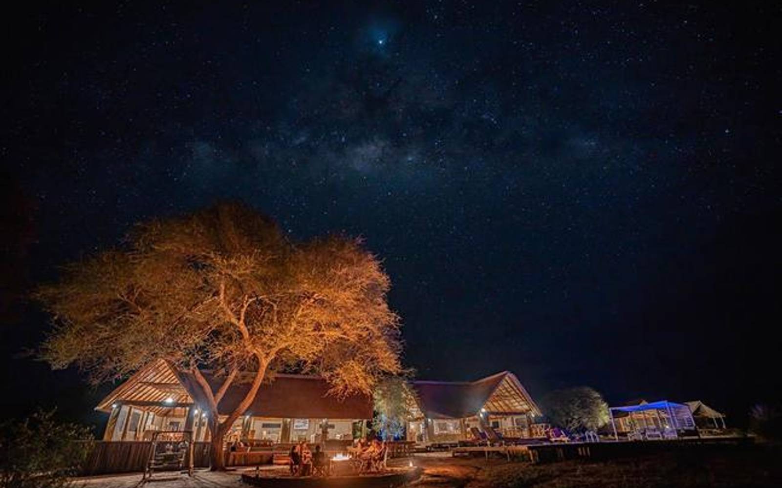 Ndovu Tented Camp illuminated at night with big tree and star filled sky