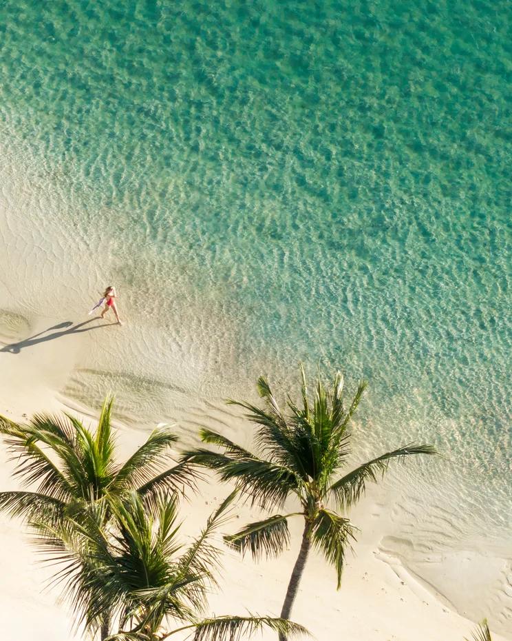 Aerial view of person walking on pristine beach with calm blue water and two palm trees