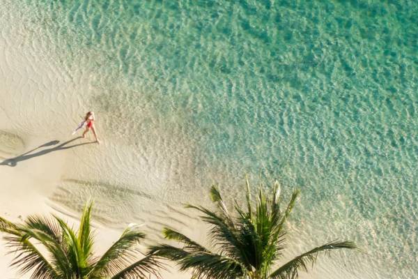 Aerial view of person walking on pristine beach with calm blue water and two palm trees