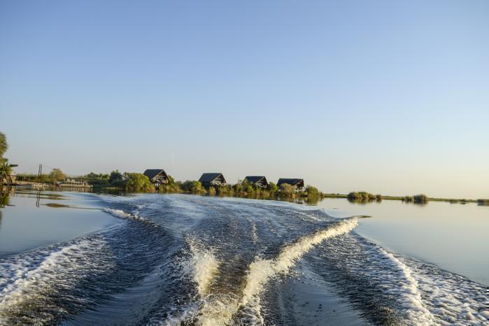 Chobe river with wake from boat