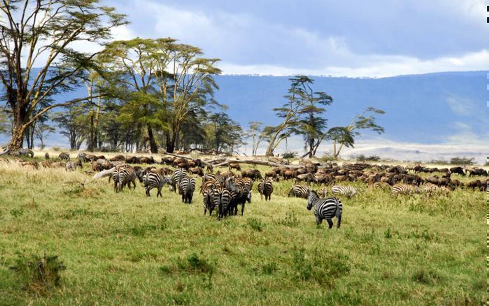 Tanganyika Wilderness Camps: 5 Nights Northern Safari Circuit