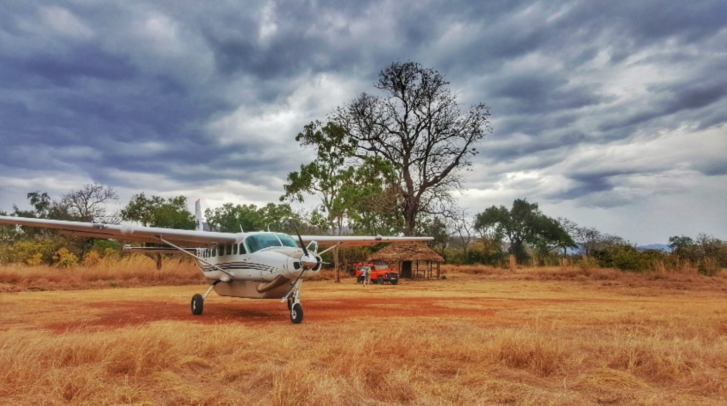 Ndutu Calving Season Fly-in Safari: 3 Night Southern Serengeti
