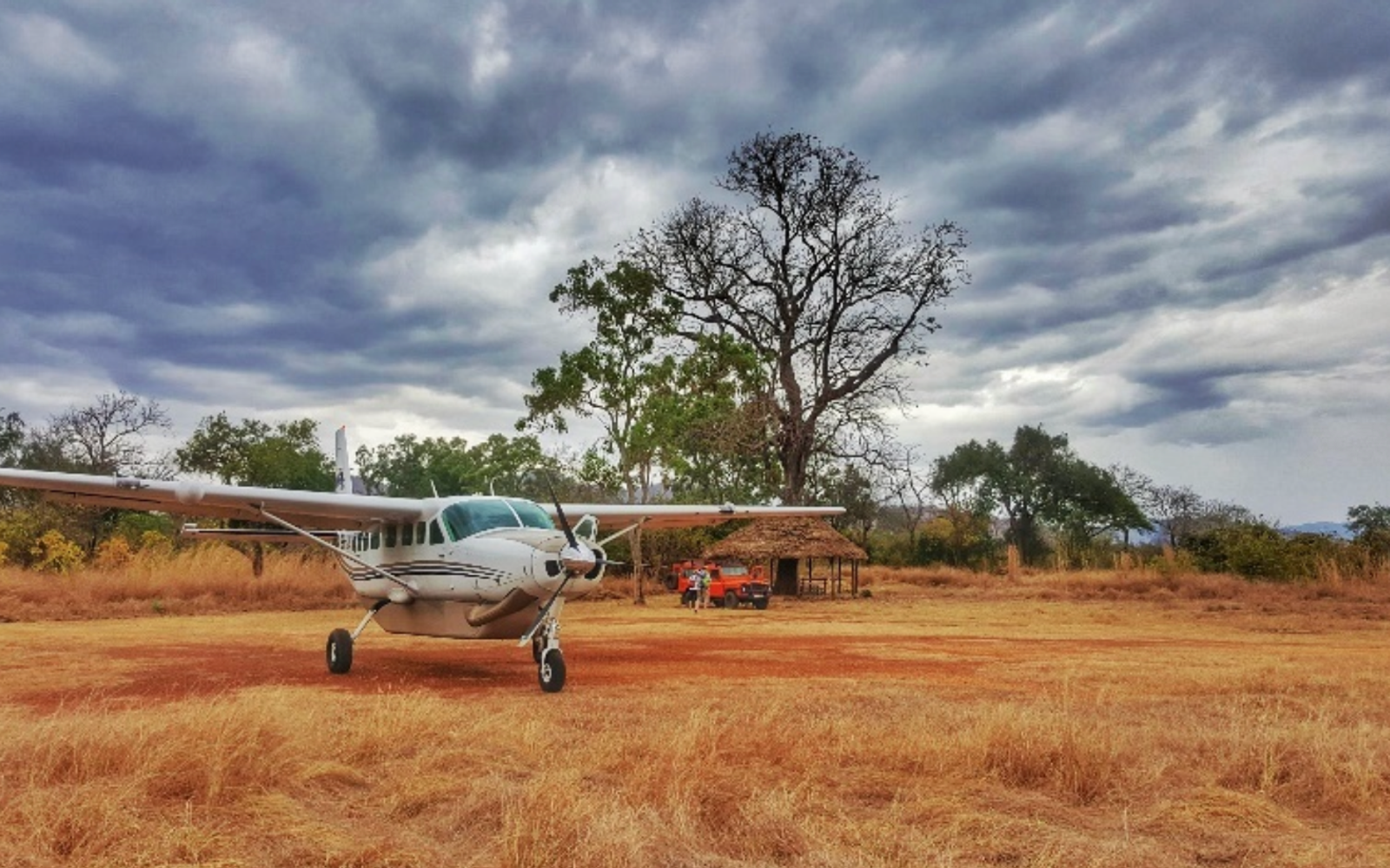 Ndutu Calving Season Fly-in Safari: 3 Night Southern Serengeti