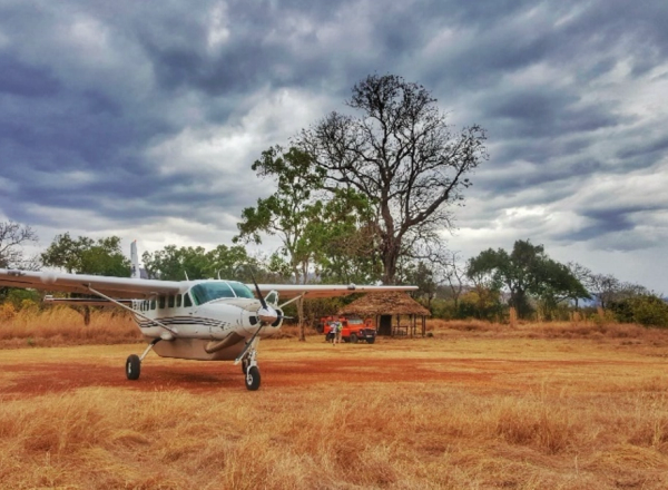 Light aircraft parked on grassland with large trees in the background