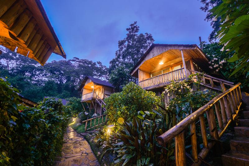 Wooden chalets with stairways up to front veranda in forest