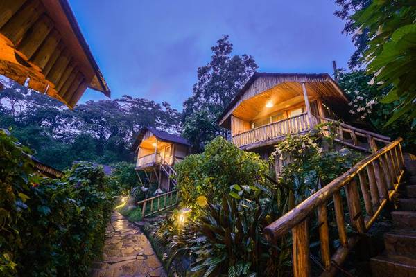 Wooden chalets with stairways up to front veranda in forest