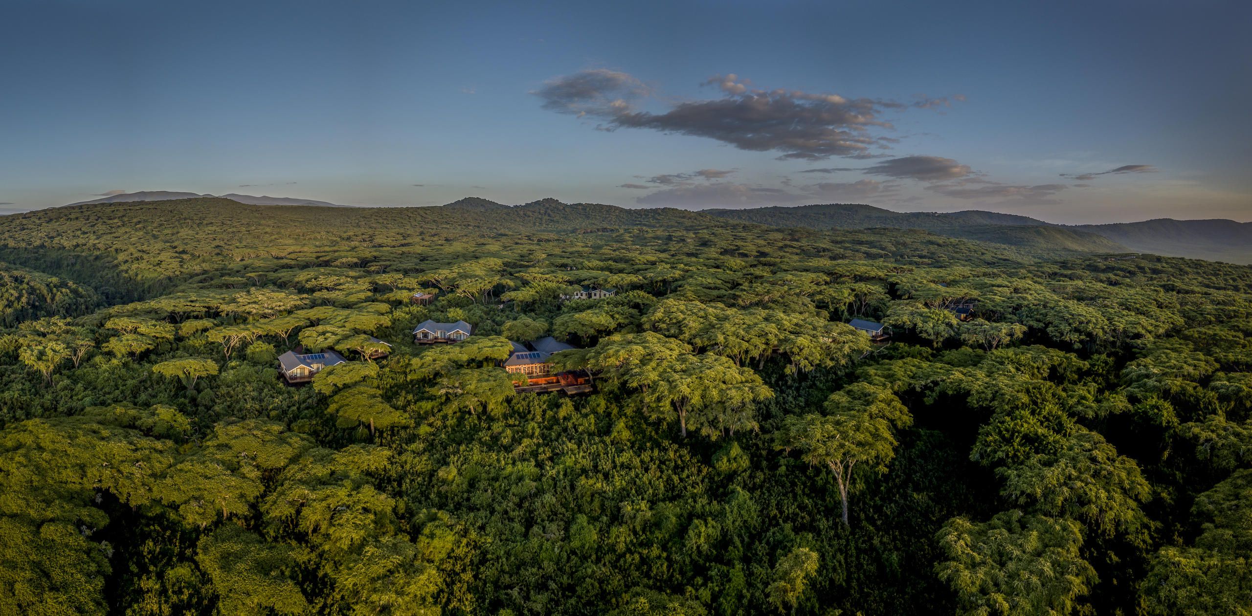 Aerial view of Ngorongoro crater lush landscape