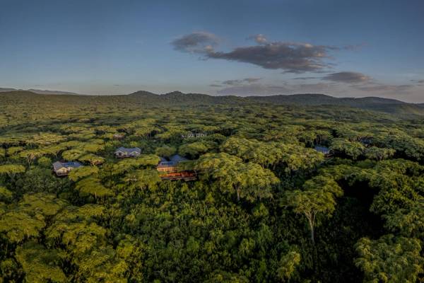 Aerial view of Ngorongoro crater lush landscape