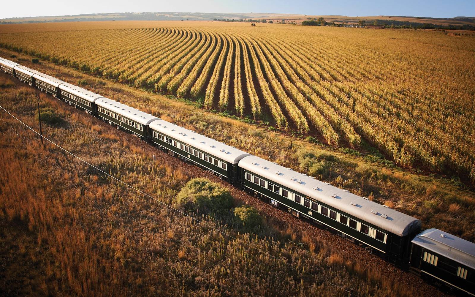 Luxury Rovos Rail: 4 Nights Premium Rail Experience