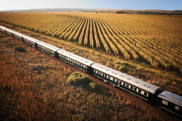 Aerial view of Rovos Rail passing through summer fields