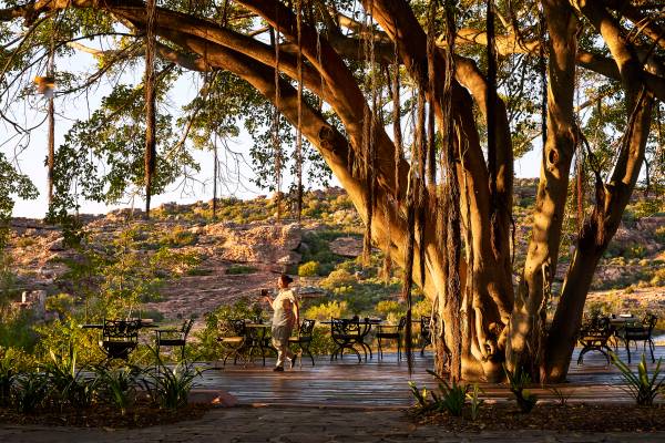 Person walking across dining deck beneath large tree at sunset