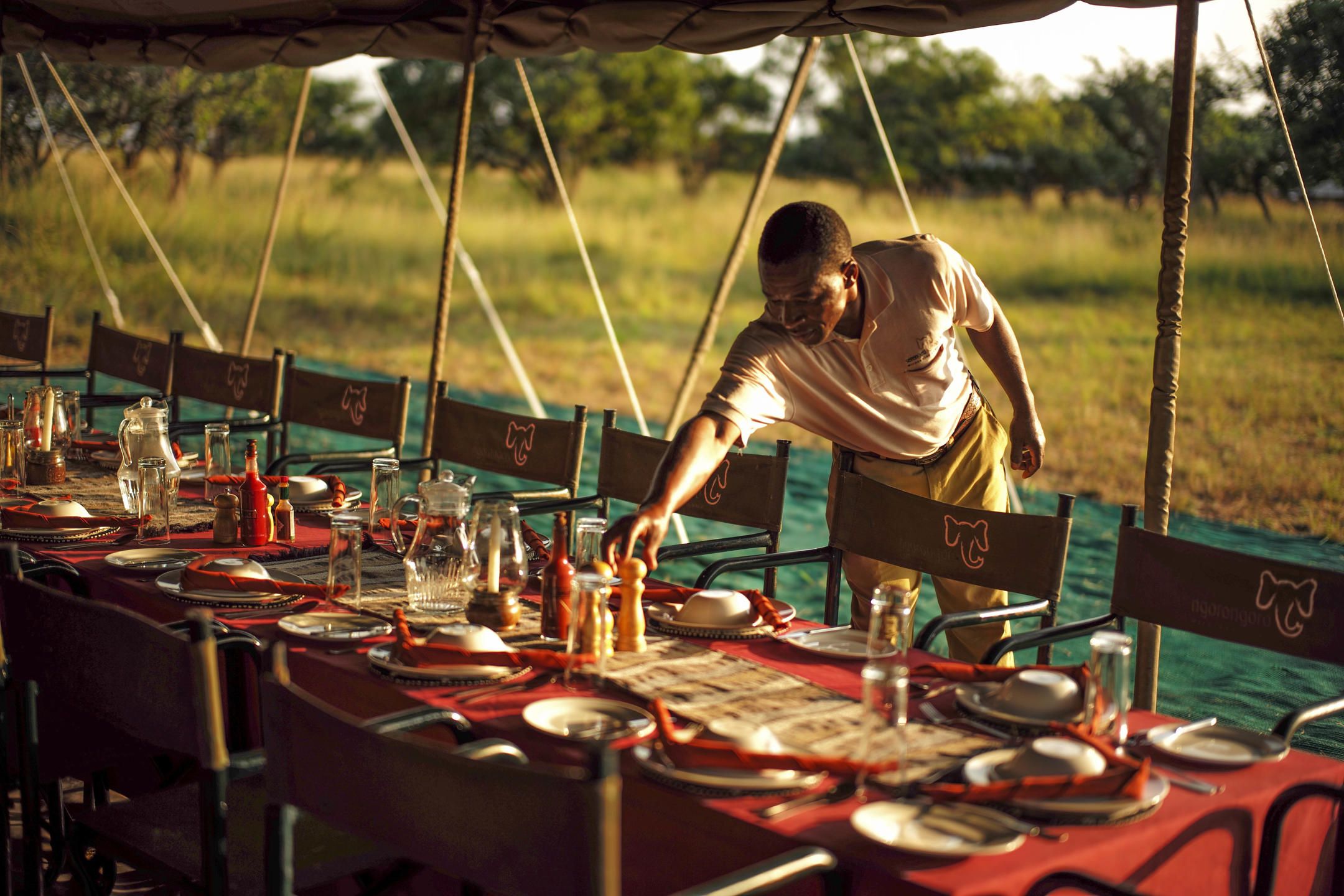 Man placing a pepper shaker on a long set table overlooking African grassland