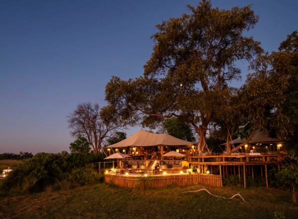 Tuludi lodge sitting beneath trees at night with lights