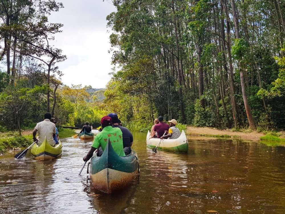 Canoeing near Lemur Island