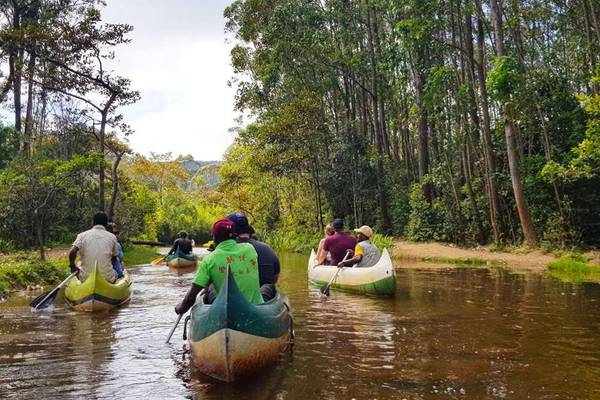 Canoeing near Lemur Island