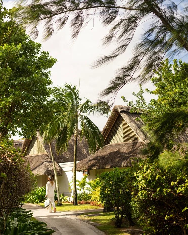 Greenery lined pathway with person walking near thatched chalets