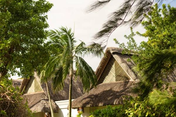 Greenery lined pathway with person walking near thatched chalets