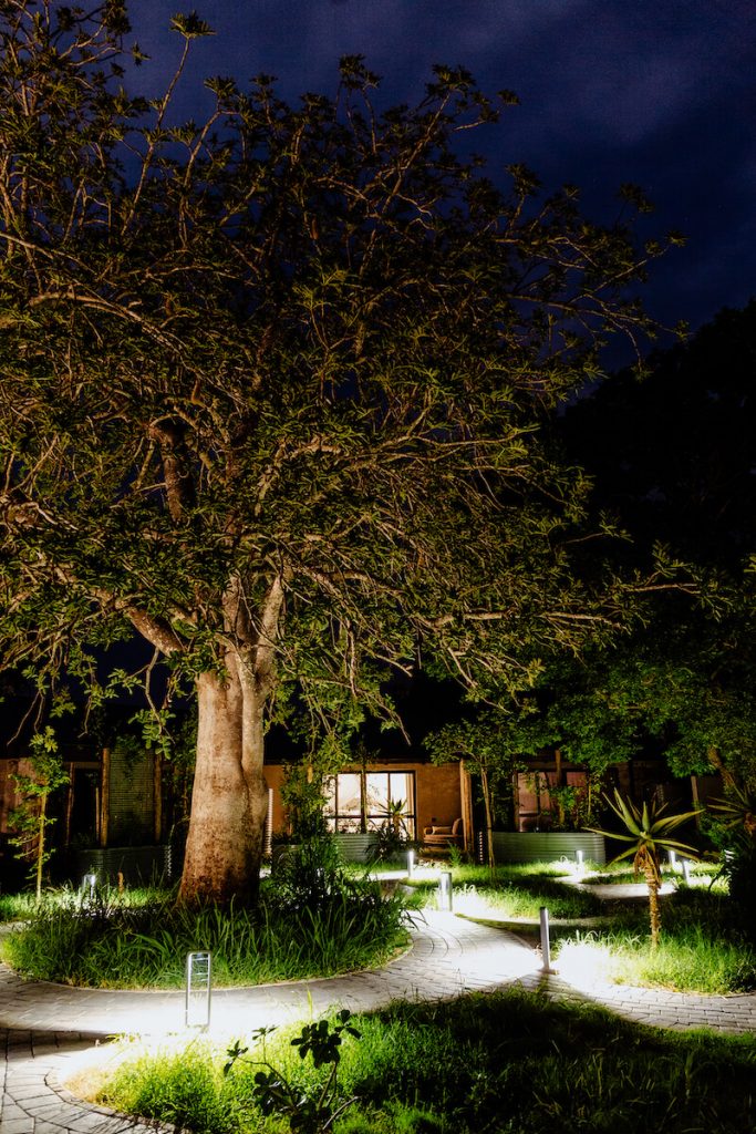 Kruger Shalati Train on the Bridge outdoor walkway at night with low lights lighting the way beneath trees and rooms