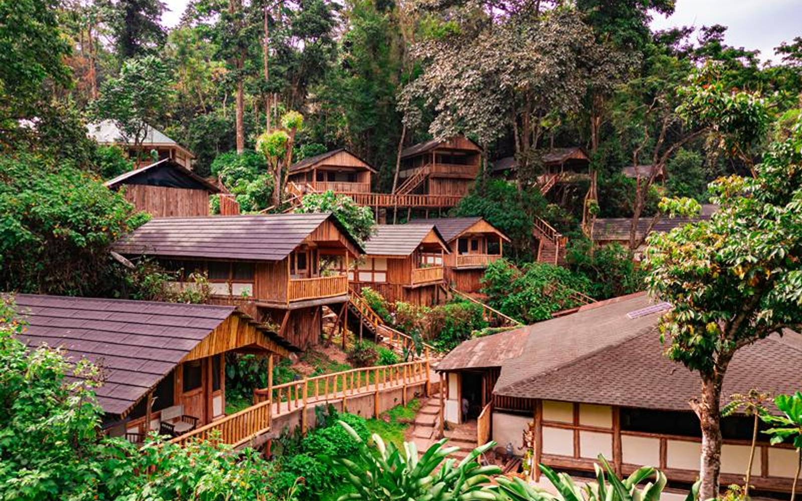 Wooden chalets amongst forest