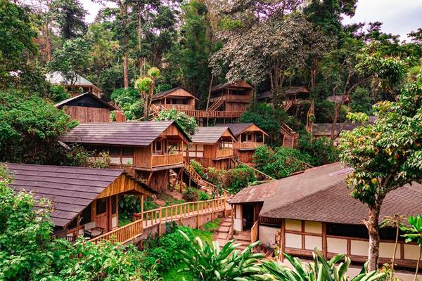 Wooden chalets in forest