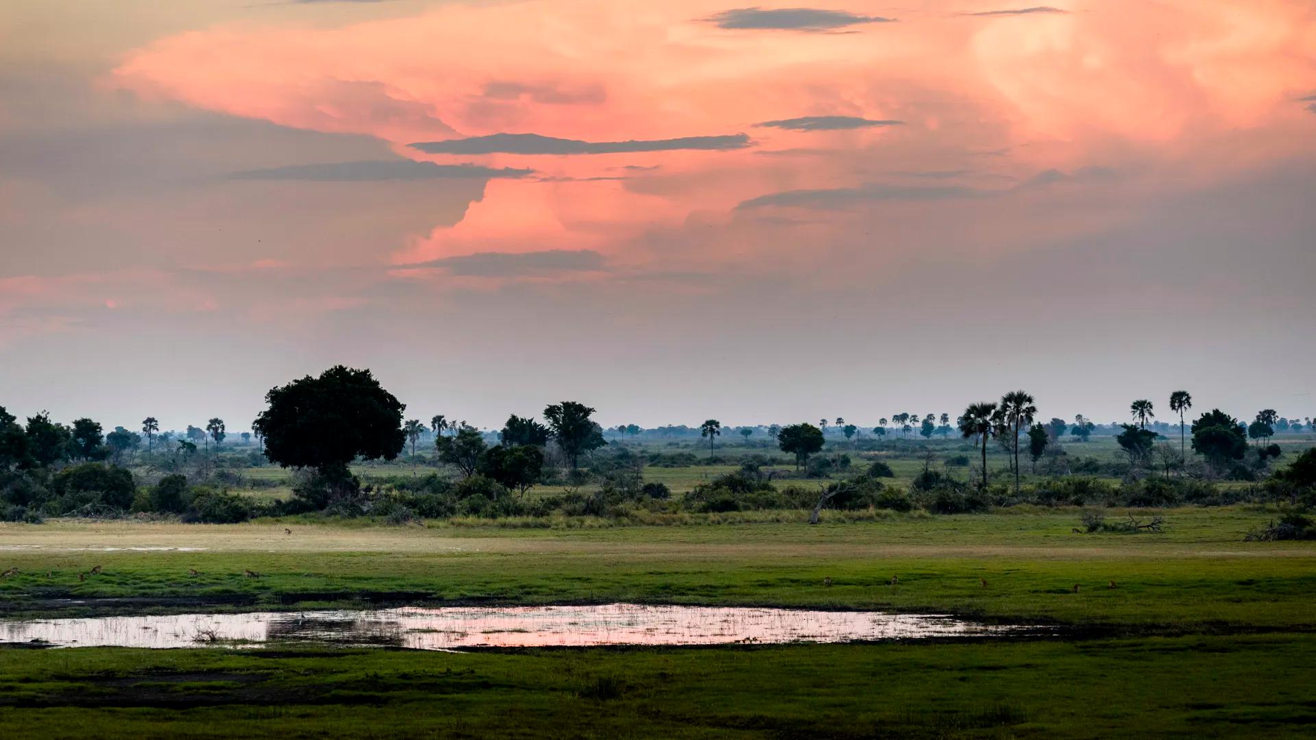Sunset over Okavango Delta