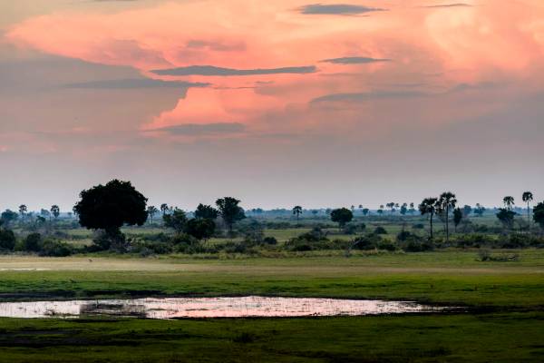Sunset over Okavango Delta