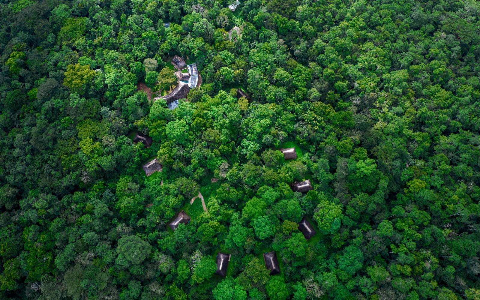 Aerial view of green forest land and buildings peaking through the trees