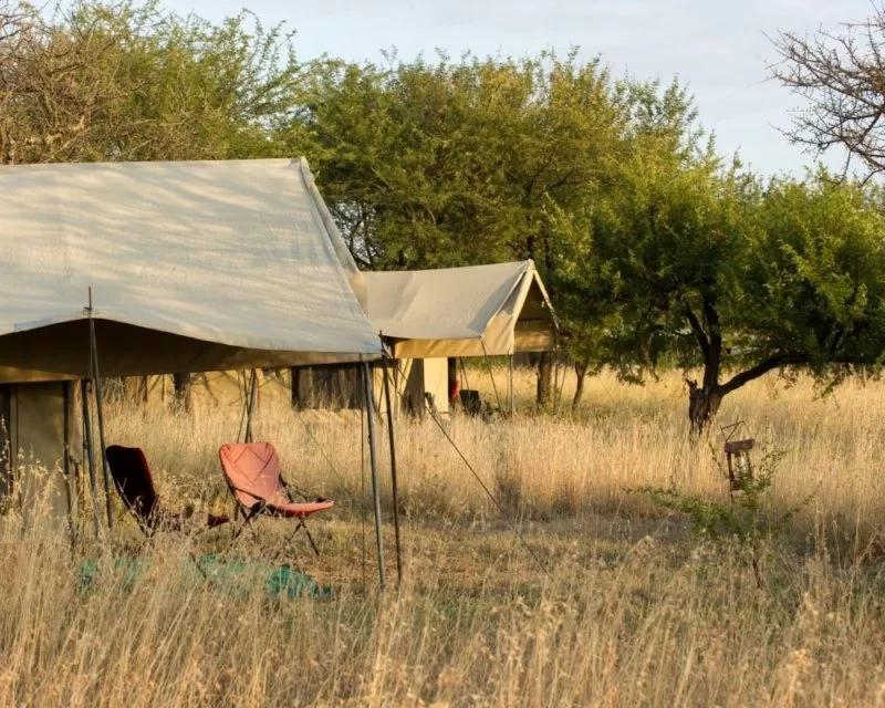 Tanzania Explorer: 6 Nights Magnificent Mobile Safari