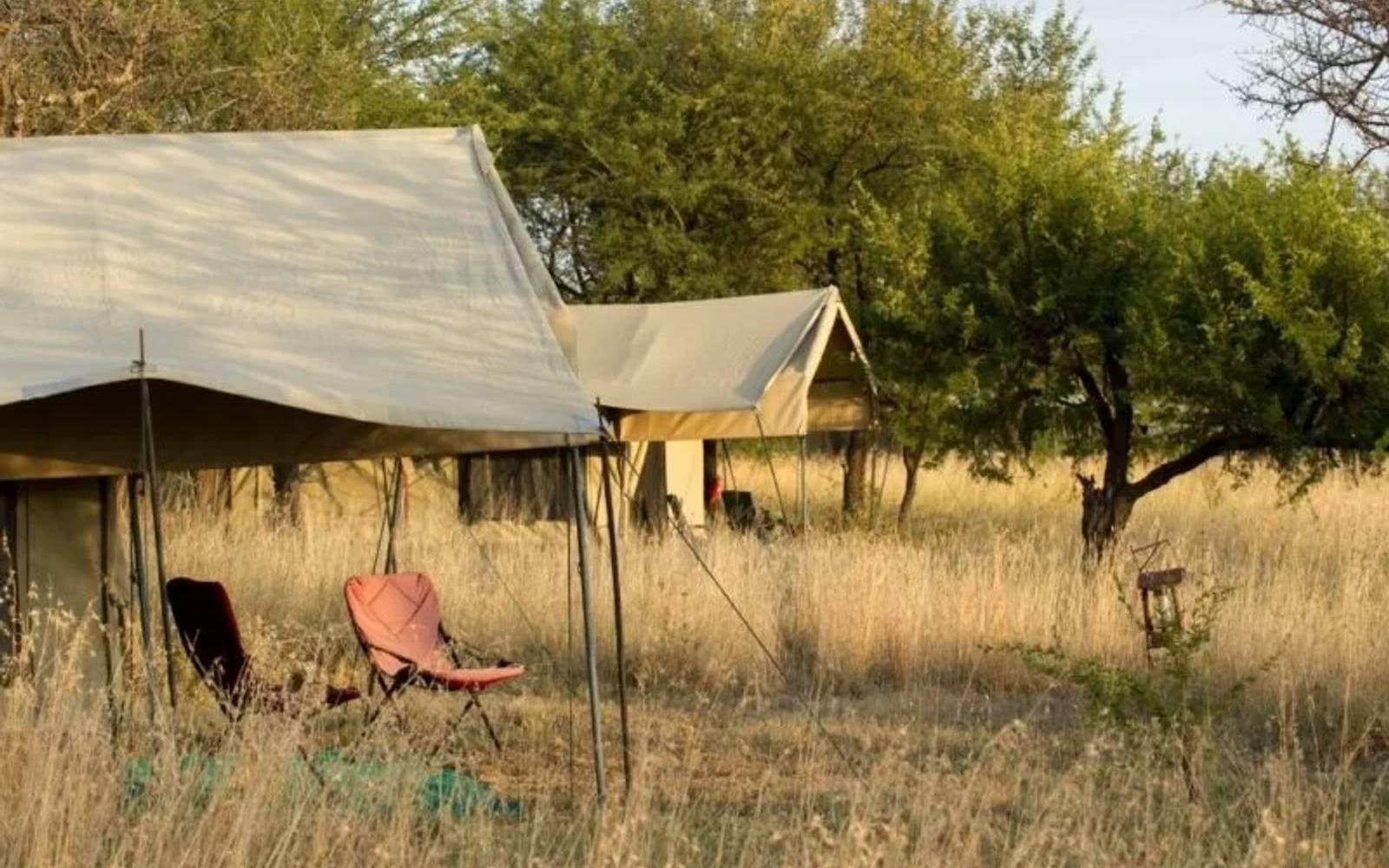 Tanzania Explorer: 6 Nights Magnificent Mobile Safari