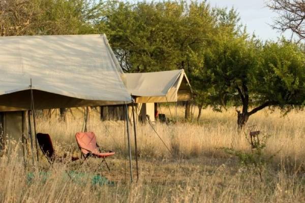 Tented camps with camping chairs amongst trees and grassland
