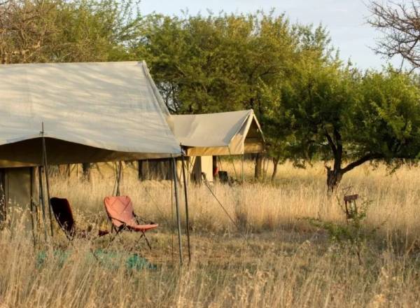 Tented camps with camping chairs amongst trees and grassland